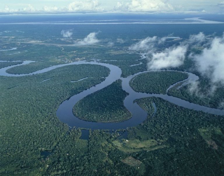 Armed assailants rob tourists, drain bank accounts on Peruvian Amazon boat trip